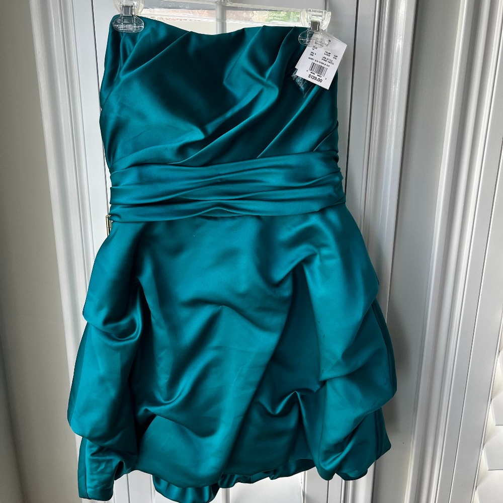 David's Bridal Bridesmaid Dress